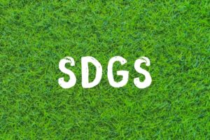 2030年を見据える理系キャリア:『サステナブル開発目標(SDGs)』に関わる仕事とは?